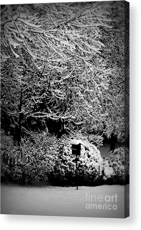 Winter Acrylic Print featuring the photograph Mercy - Black and White by Frank J Casella