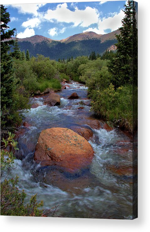 Mountains Acrylic Print featuring the photograph Mountain Creek by Bob Falcone
