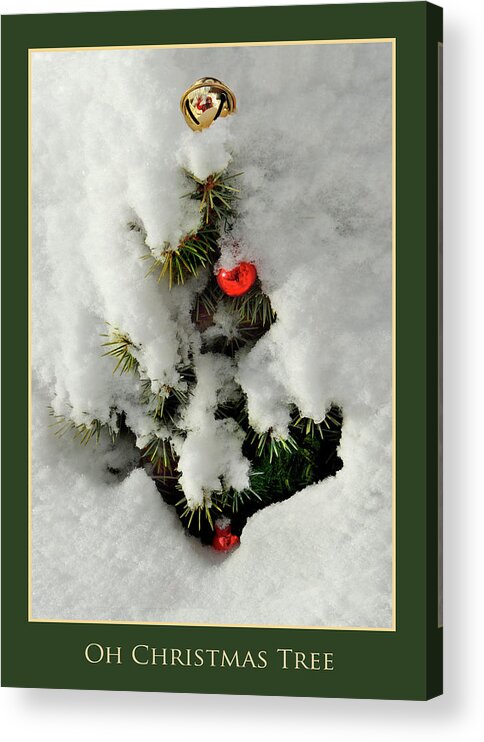 Christmas Acrylic Print featuring the photograph Oh Christmas Tree by Nancy Griswold