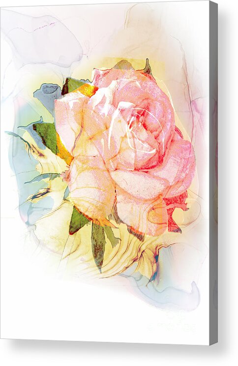 Rose Acrylic Print featuring the digital art Old Rose by Anthony Ellis