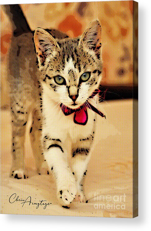 Tabby Acrylic Print featuring the digital art On the Catwalk ... by Chris Armytage