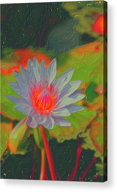 Water Lily Acrylic Print featuring the digital art Ornamental Aquatic Flower by Don Wright