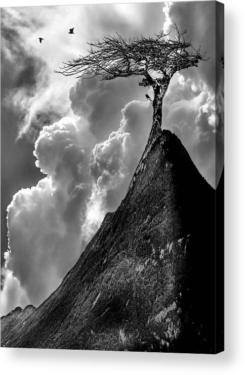 Fine Art Acrylic Print featuring the photograph Peaks and valleys by Sofie Conte