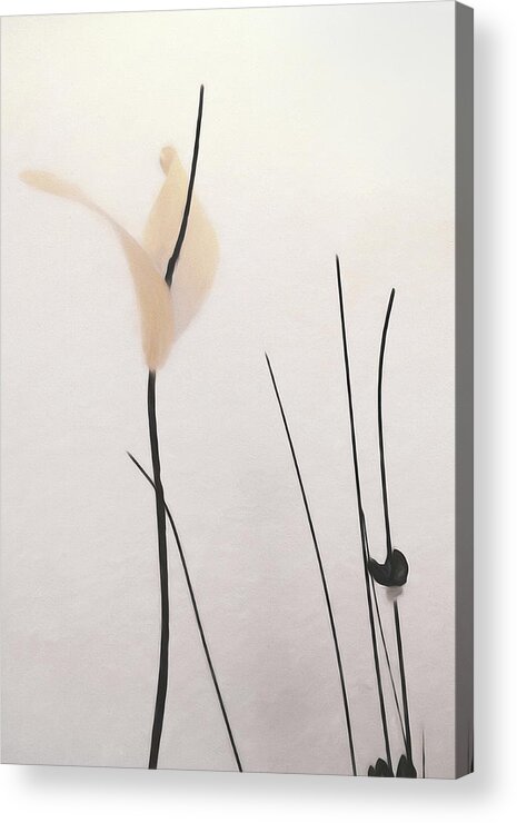 Petals And Stems Acrylic Print featuring the painting Petals And Stems by Kandy Hurley