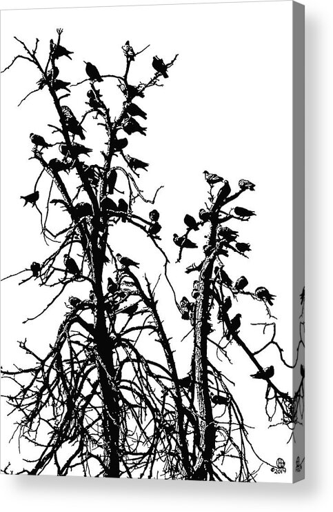 Tree Acrylic Print featuring the digital art Pigeon Tree by Gary Olsen-Hasek