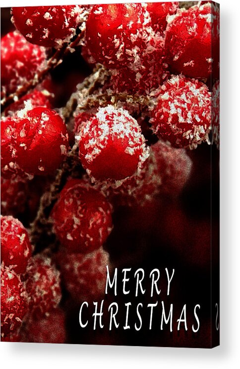 Red Berries Covered Snow Christmas Card Acrylic Print featuring the photograph Red Berries Covered in Snow Christmas Card by David Morehead