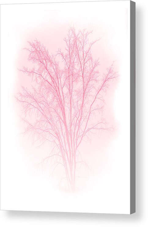 Tree Acrylic Print featuring the mixed media Red by Moira Law