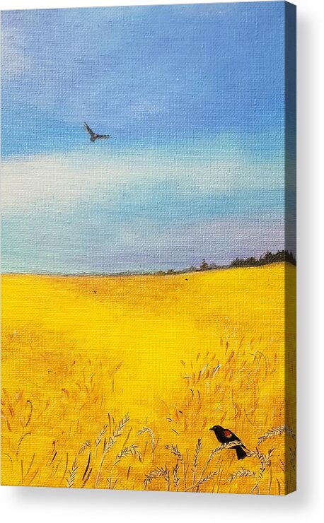 Blackbird Acrylic Print featuring the painting Little Piece of Kansas by Stephanie Hollingsworth