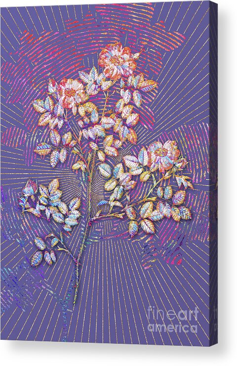 Mosaic Acrylic Print featuring the mixed media Rose Corymb Mosaic Botanical Art on Veri Peri n.0080 by Holy Rock Design