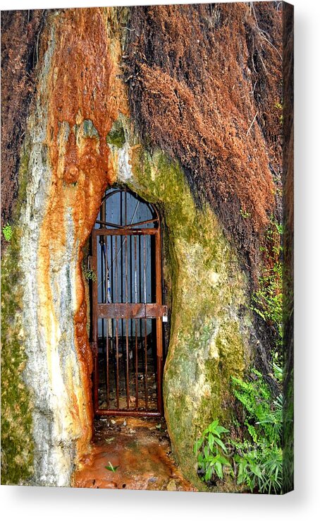 Rusted Gate Acrylic Print featuring the photograph Rusted Gate by Expressions By Stephanie