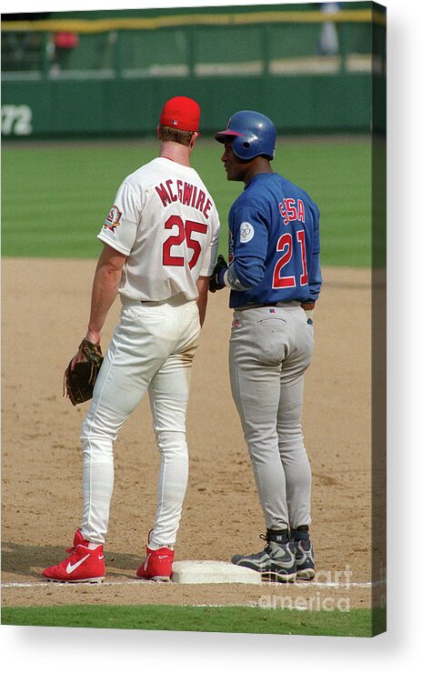 St. Louis Cardinals Acrylic Print featuring the photograph Sammy Sosa and Mark Mcgwire by Icon Sports Wire