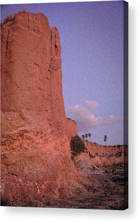  Acrylic Print featuring the photograph Shell Beach by Dr Janine Williams