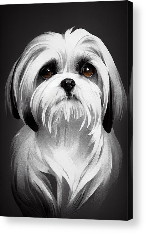 Shih Tzu Acrylic Print featuring the digital art Shih Tzu by Geir Rosset