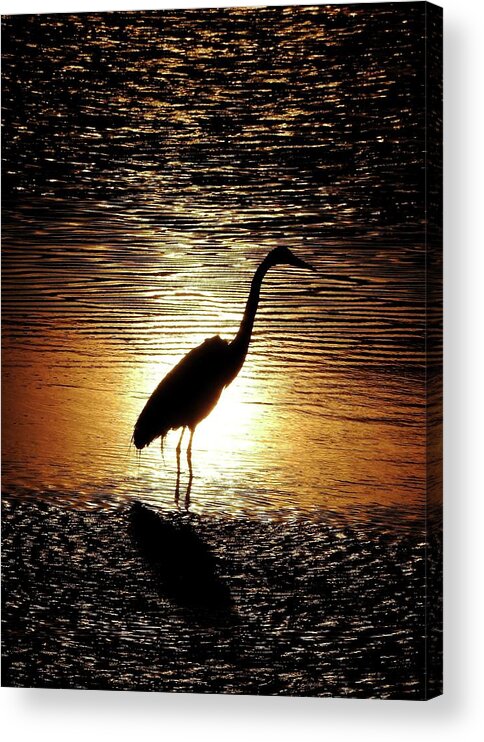 Soliloquy In Silence Acrylic Print featuring the photograph Soliloquy in Silence by Dark Whimsy