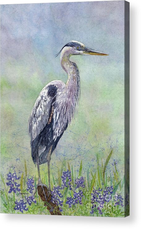 Heron Acrylic Print featuring the painting Spring Heron by Hailey E Herrera