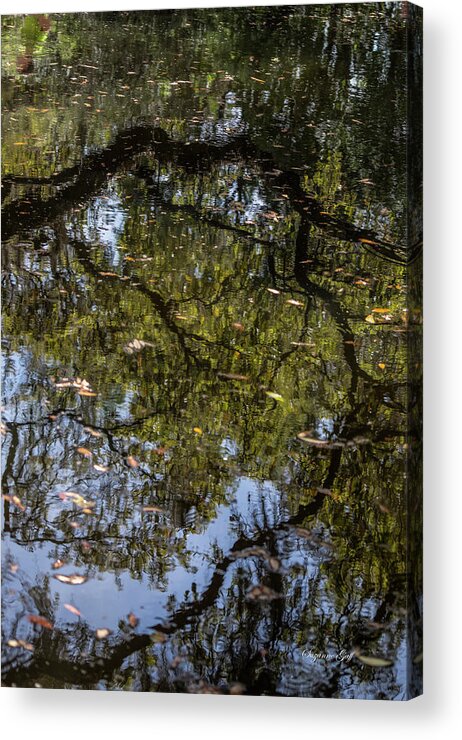 Photograph Acrylic Print featuring the photograph Springtime Reflections by Suzanne Gaff