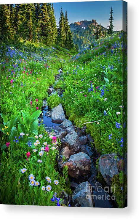 America Acrylic Print featuring the photograph Summer Creek by Inge Johnsson