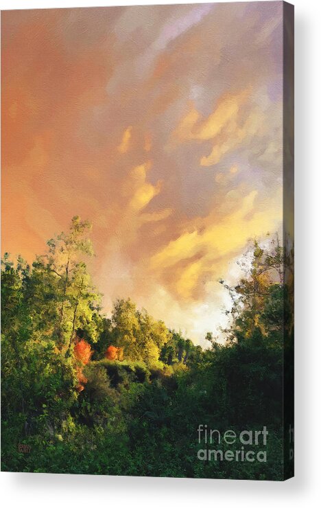 Courbet Acrylic Print featuring the photograph Sunset on the Oso Trail by Brian Watt