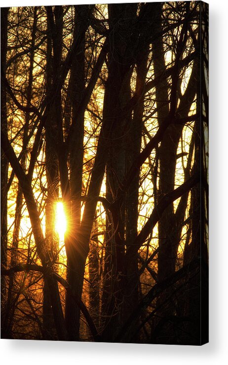 North Wilkesboro Acrylic Print featuring the photograph Sunset Through the Trees by Charles Floyd