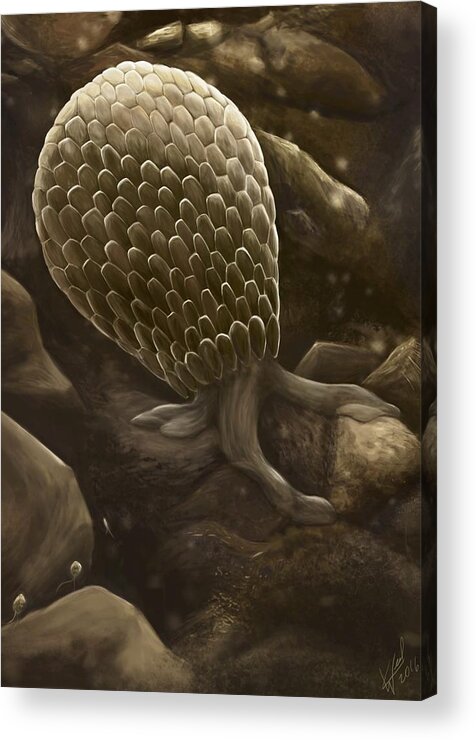 Protozoa Acrylic Print featuring the digital art Testate Amoeba by Kate Solbakk