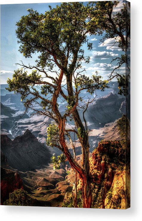 Grand Canyon Acrylic Print featuring the photograph The last of its kind by Micah Offman