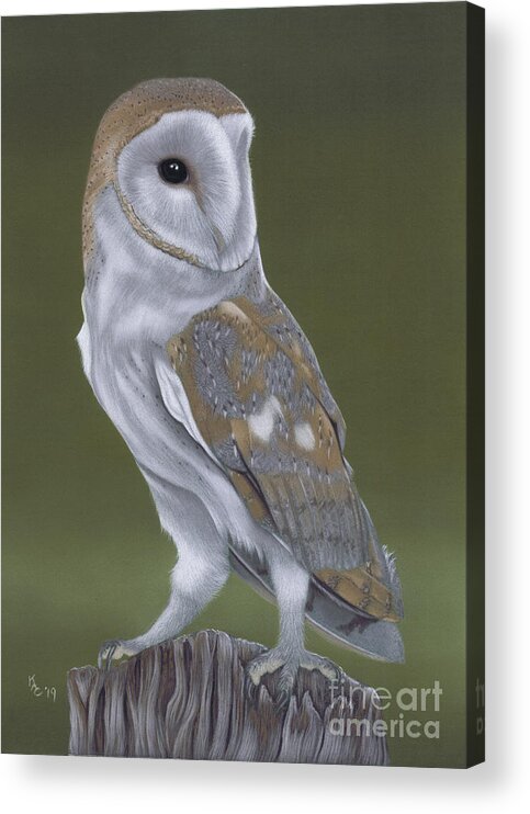 Owl Acrylic Print featuring the painting The Thinker by Karie-ann Cooper