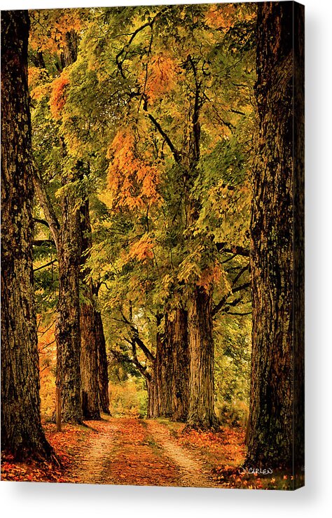 Landscape Acrylic Print featuring the photograph The Walk Home by Jim Carlen