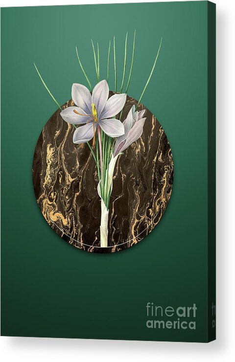 Vintage Acrylic Print featuring the painting Vintage Autumn Crocus Art in Gilded Marble on Dark Spring Green by Holy Rock Design