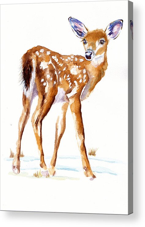 Bambi Acrylic Print featuring the painting Winter Bambi Faun by Debra Hall