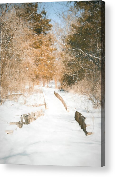 Winter Acrylic Print featuring the photograph Winter Trail and Bridge by Allin Sorenson