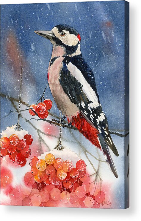 Bird Acrylic Print featuring the painting Winter Woodpecker by Espero Art