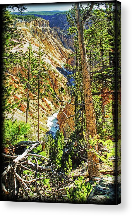 Green Acrylic Print featuring the photograph Yellowstone River by Richard Risely