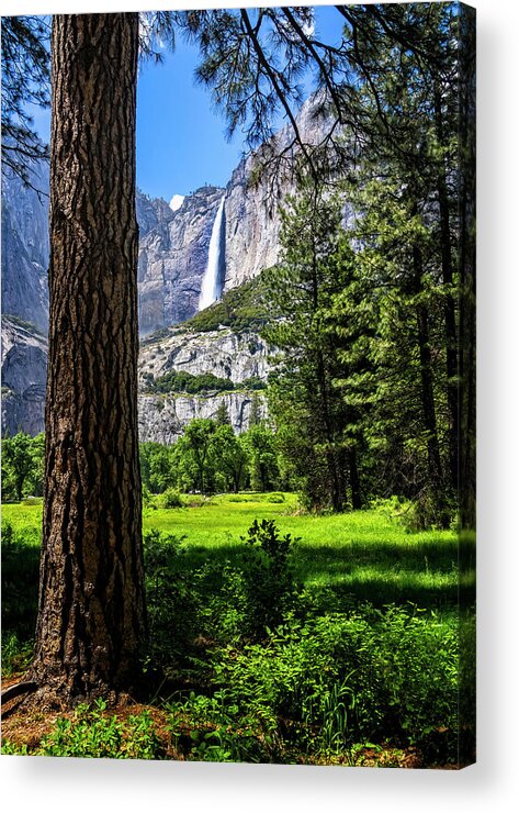 Yosemite Falls Through The Woods Acrylic Print featuring the photograph Yosemite Falls through the Woods by Carolyn Derstine