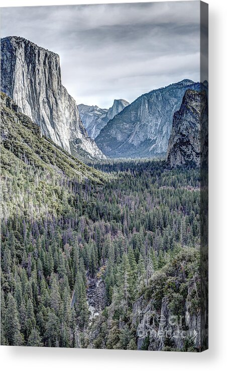 Yosemite Valley And El Capitan From Tunnel View Acrylic Print featuring the photograph Yosemite Valley with El Capitan and Half Dome from Tunnel View by Dustin K Ryan