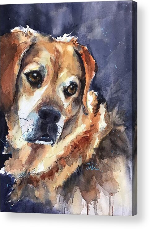 Dog Acrylic Print featuring the painting Zeke by Judith Levins