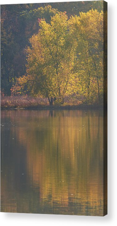 Autumn Acrylic Print featuring the photograph Autumn Backlight by Jean-Pierre Ducondi