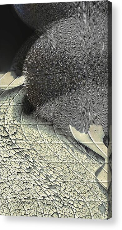 Abstract-hedgehog Acrylic Print featuring the photograph Hedgehog by Steve Godleski