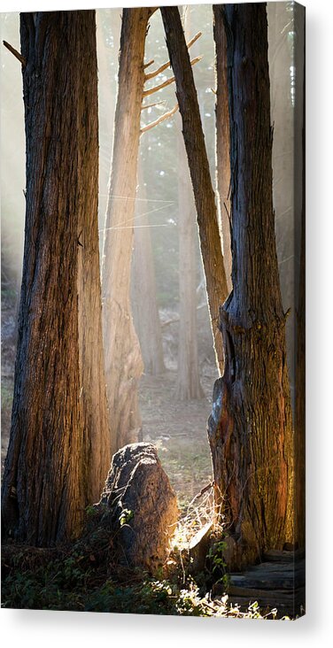 Morning Acrylic Print featuring the photograph Light by Alexander Fedin