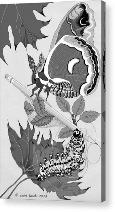 Moth Acrylic Print featuring the digital art Magic Pencil by Carol Jacobs