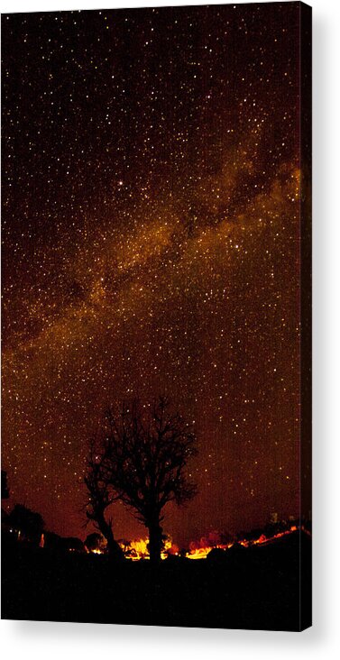 Tree Acrylic Print featuring the photograph Milky Way Tree by Kathleen McGinley