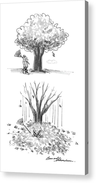 No Caption
Two Panel Drawing. In The First A Man Is Walking By A Tree With A Rake In His Hand. In The Second All Of The Leaves Have Fallen Off Of The Tree Acrylic Print featuring the drawing New Yorker October 17th, 1988 by Bernard Schoenbaum