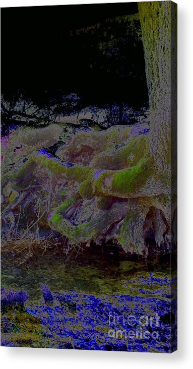Tree Acrylic Print featuring the photograph Roots by Karen Newell