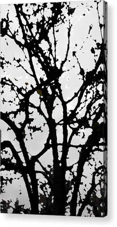 Tree Acrylic Print featuring the digital art Silhouette Of Winter Tree by Eric Forster