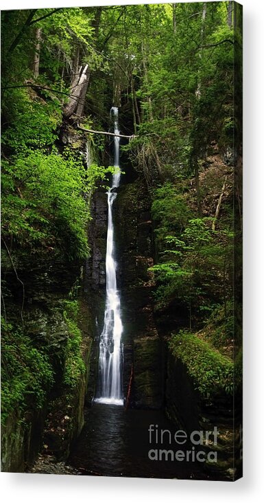 Waterfall Acrylic Print featuring the photograph Silverthread Falls by Debra Fedchin