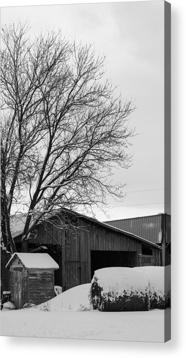 Snow Acrylic Print featuring the photograph Snow Scene by Holden The Moment