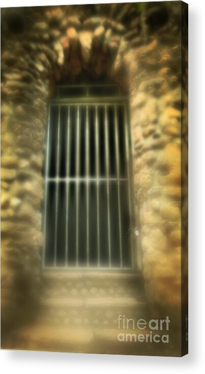 Solitary Confinement Acrylic Print featuring the photograph Solitary Confinement by Inspired Nature Photography Fine Art Photography