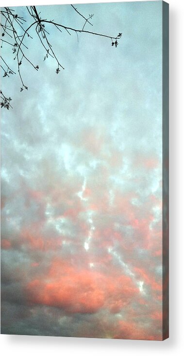 Sun Acrylic Print featuring the photograph The End Of Sunset by Eric Forster