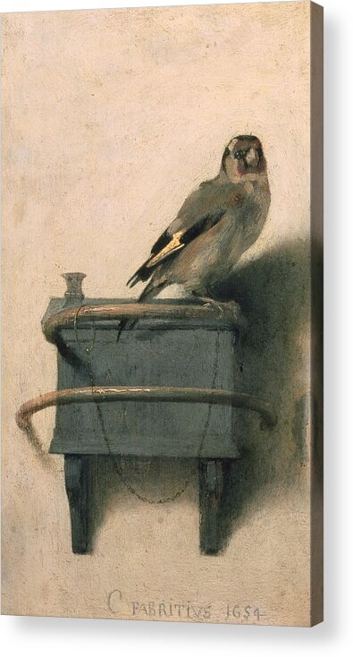 Bird Acrylic Print featuring the painting The Goldfinch by Carel Fabritius