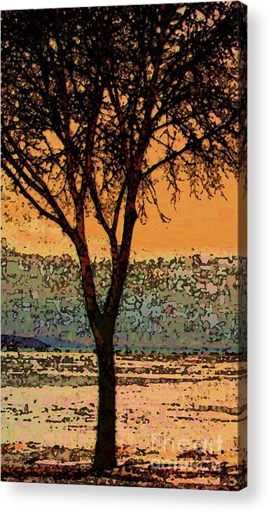 Treescape Acrylic Print featuring the photograph Treescape by Desiree Paquette