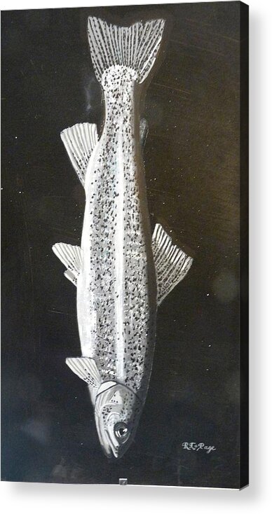 Trout Acrylic Print featuring the painting Trout by Richard Le Page